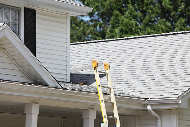Best Construction Debris Removal  in South Monroe, MI
