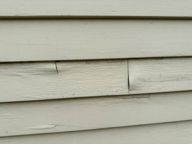 Best Demolition Debris Removal  in South Monroe, MI
